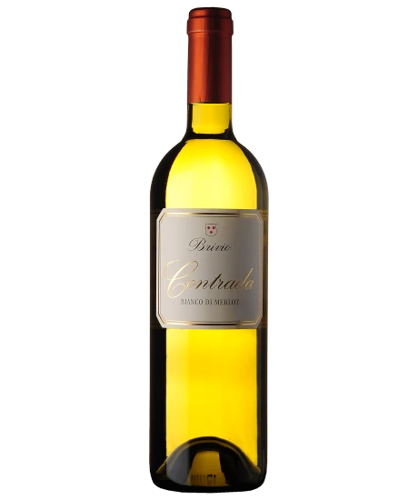 Contrada Bianco di Merlot 2024 DOC Ticino, Brivio, 750 ml